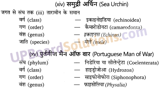 UP Board Solutions for Class 11 Biology Chapter 4 Animal Kingdom image 10