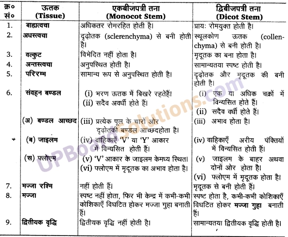 UP Board Solutions for Class 11 Biology Chapter 6 Anatomy of Flowering Plants image 9
