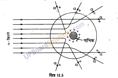 UP Board Solutions for Class 12 Physics Chapter 11 Dual Nature of Radiation and Matter