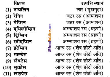 UP Board Solutions for Class 9 Home Science Chapter 12 भोजन का पाचन एवं सम्बन्धित शरीर-क्रिया विज्ञान