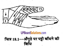 UP Board Solutions for Class 9 Home Science Chapter 18 तिकोनी और लम्बी पट्टियाँ तथा उनका प्रयोग