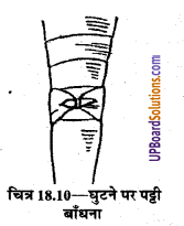 UP Board Solutions for Class 9 Home Science Chapter 18 तिकोनी और लम्बी पट्टियाँ तथा उनका प्रयोग