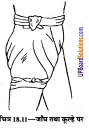 UP Board Solutions for Class 9 Home Science Chapter 18 तिकोनी और लम्बी पट्टियाँ तथा उनका प्रयोग