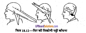 UP Board Solutions for Class 9 Home Science Chapter 18 तिकोनी और लम्बी पट्टियाँ तथा उनका प्रयोग
