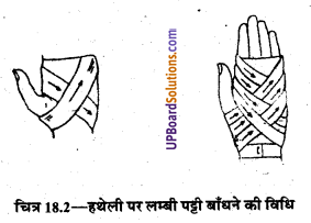 UP Board Solutions for Class 9 Home Science Chapter 18 तिकोनी और लम्बी पट्टियाँ तथा उनका प्रयोग