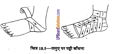 UP Board Solutions for Class 9 Home Science Chapter 18 तिकोनी और लम्बी पट्टियाँ तथा उनका प्रयोग
