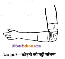 UP Board Solutions for Class 9 Home Science Chapter 18 तिकोनी और लम्बी पट्टियाँ तथा उनका प्रयोग
