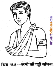 UP Board Solutions for Class 9 Home Science Chapter 18 तिकोनी और लम्बी पट्टियाँ तथा उनका प्रयोग