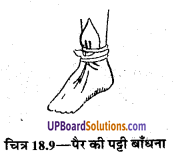 UP Board Solutions for Class 9 Home Science Chapter 18 तिकोनी और लम्बी पट्टियाँ तथा उनका प्रयोग