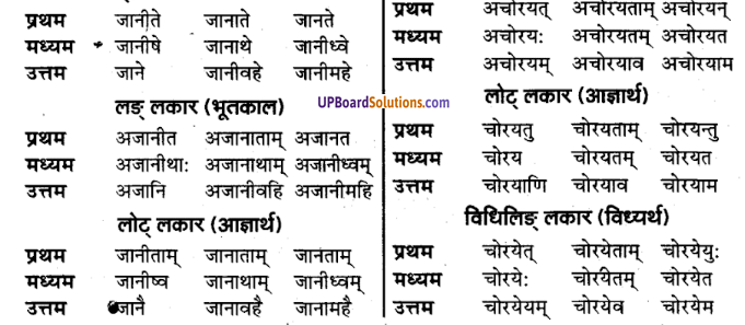 UP Board Solutions for Class 9 Sanskrit Chapter 4 धातु-रूप प्रकरण (व्याकरण)