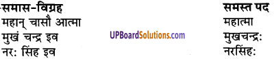 UP Board Solutions for Class 9 Sanskrit Chapter 5 समास-प्रकरण (व्याकरण)