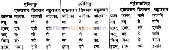 UP Board Solutions for Class 9 Sanskrit Chapter 8 हिन्दी वाक्यों का संस्कृत में अनुवाद 