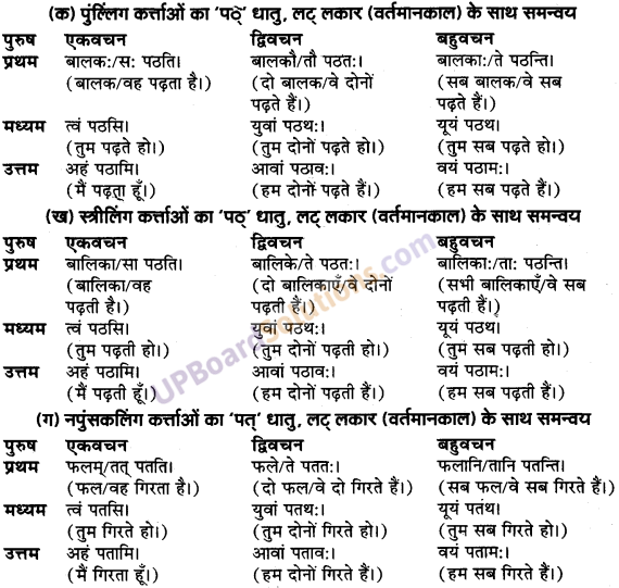 UP Board Solutions for Class 9 Sanskrit Chapter 8 हिन्दी वाक्यों का संस्कृत में अनुवाद 