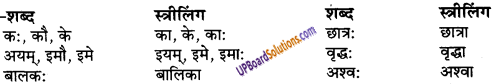 UP Board Solutions for Class 9 Sanskrit Chapter 8 हिन्दी वाक्यों का संस्कृत में अनुवाद 