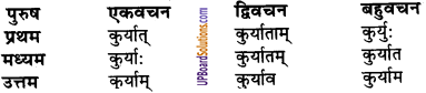 UP Board Solutions for Class 9 Sanskrit Chapter 8 हिन्दी वाक्यों का संस्कृत में अनुवाद 