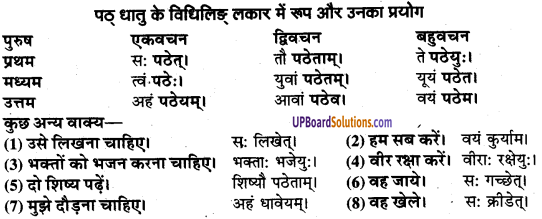 UP Board Solutions for Class 9 Sanskrit Chapter 8 हिन्दी वाक्यों का संस्कृत में अनुवाद 