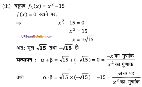 Balaji Class 10 Maths Solutions Chapter 2 Polynomials Ex 2.1 13