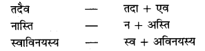 UP Board Solutions for Class 10 Hindi Chapter 5 देशभक्त चन्द्रशेखर (संस्कृत-खण्ड) img-2