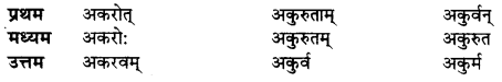 UP Board Solutions for Class 10 Hindi धातु-रूप img-10