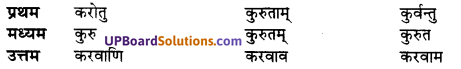 UP Board Solutions for Class 10 Hindi धातु-रूप img-11