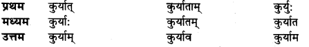 UP Board Solutions for Class 10 Hindi धातु-रूप img-12