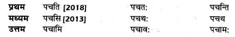 UP Board Solutions for Class 10 Hindi धातु-रूप img-13