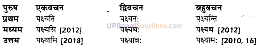 UP Board Solutions for Class 10 Hindi धातु-रूप img-14