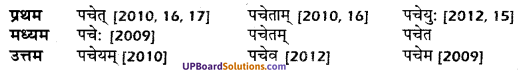 UP Board Solutions for Class 10 Hindi धातु-रूप img-17