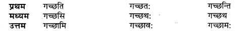 UP Board Solutions for Class 10 Hindi धातु-रूप img-3