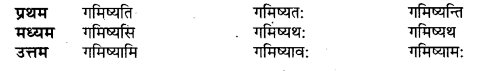 UP Board Solutions for Class 10 Hindi धातु-रूप img-4