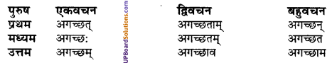 UP Board Solutions for Class 10 Hindi धातु-रूप img-5