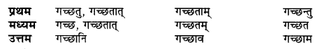 UP Board Solutions for Class 10 Hindi धातु-रूप img-6