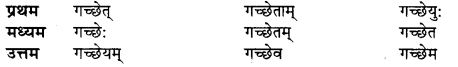 UP Board Solutions for Class 10 Hindi धातु-रूप img-7