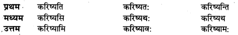 UP Board Solutions for Class 10 Hindi धातु-रूप img-9