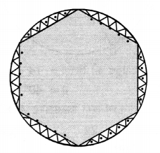 UP Board Solutions for Class 10 Maths Chapter 12 Areas Related to Circles page 252 13