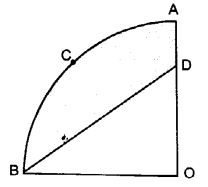 UP Board Solutions for Class 10 Maths Chapter 12 Areas Related to Circles page 257 12