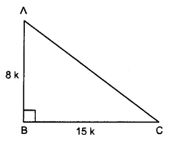 UP Board Solutions for Class 10 Maths Chapter 8 Introduction to Trigonometry page 200 4