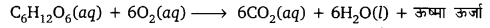 UP Board Solutions for Class 10 Science Chapter 1 Chemical Reactions and Equations img-13