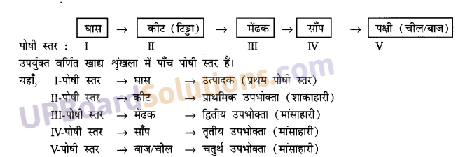 UP Board Solutions for Class 10 Science Chapter 15 Our Environment img-1