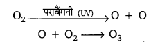 UP Board Solutions for Class 10 Science Chapter 15 Our Environment img-2