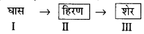 UP Board Solutions for Class 10 Science Chapter 15 Our Environment img-3