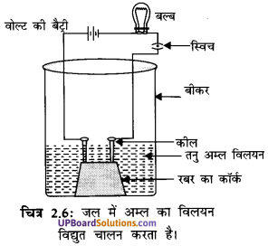 UP Board Solutions for Class 10 Science Chapter 2 Acids, Bases and Salts img-6
