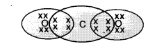 UP Board Solutions for Class 10 Science Chapter 4 Carbon and Its Compounds img-1