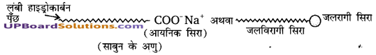 UP Board Solutions for Class 10 Science Chapter 4 Carbon and Its Compounds img-20