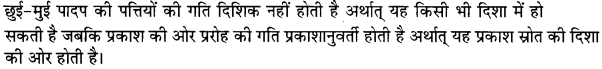 UP Board Solutions for Class 10 Science Chapter 7 Control and Coordination img-2