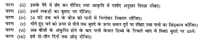 UP Board Solutions for Class 10 Science Chapter 7 Control and Coordination img-4