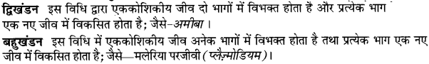 UP Board Solutions for Class 10 Science Chapter 8 How do Organisms Reproduce img-1