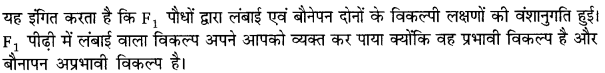 UP Board Solutions for Class 10 Science Chapter 9 Heredity and Evolution img-2