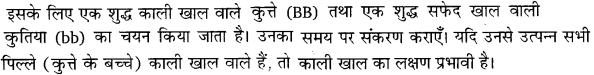 UP Board Solutions for Class 10 Science Chapter 9 Heredity and Evolution img-5