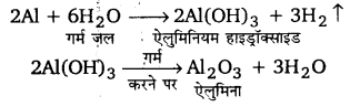 UP Board Solutions for Class 11 Chemistry Chapter 11 The p-block Elements img-43